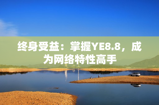 终身受益：掌握YE8.8，成为网络特性高手