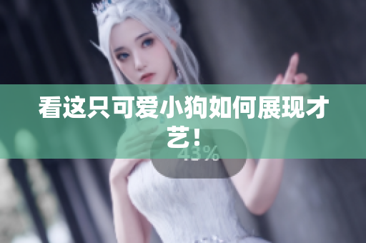 看这只可爱小狗如何展现才艺！