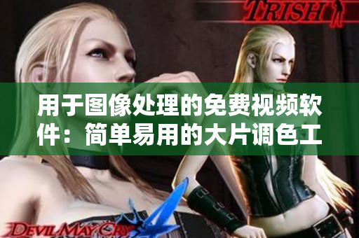 用于图像处理的免费视频软件：简单易用的大片调色工具
