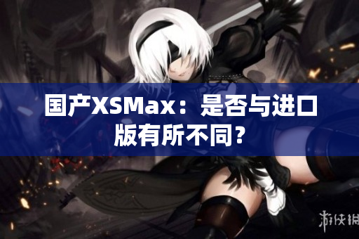 国产XSMax：是否与进口版有所不同？