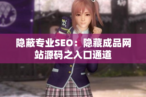 隐蔽专业SEO：隐藏成品网站源码之入口通道
