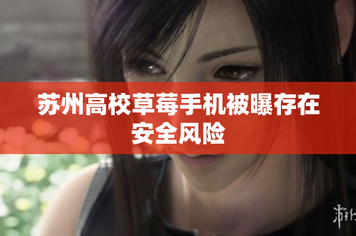 苏州高校草莓手机被曝存在安全风险