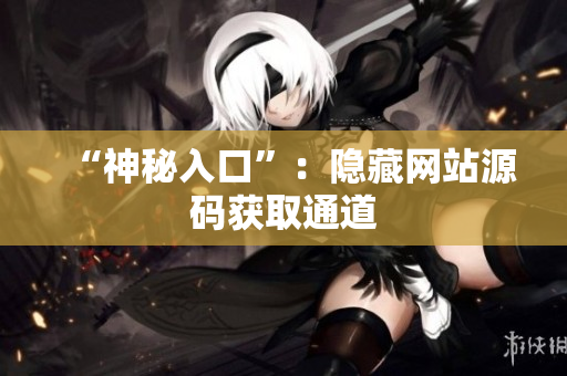 “神秘入口”：隐藏网站源码获取通道