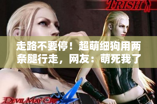 走路不要停！超萌细狗用两条腿行走，网友：萌死我了