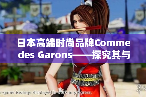 日本高端时尚品牌Comme des Garons——探究其与流行文化的关系
