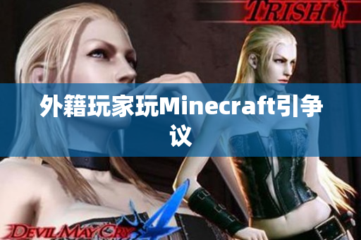 外籍玩家玩Minecraft引争议