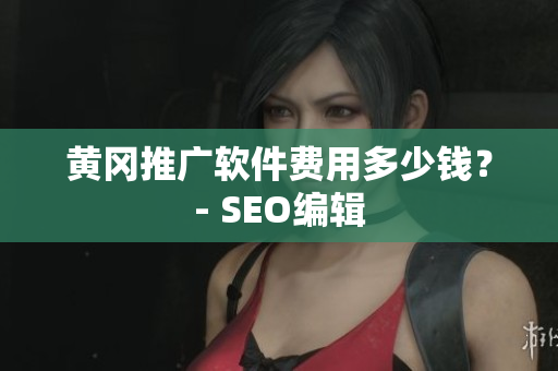 黄冈推广软件费用多少钱？- SEO编辑