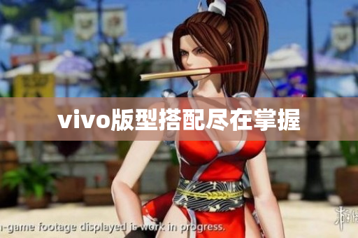 vivo版型搭配尽在掌握