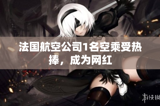 法国航空公司1名空乘受热捧，成为网红