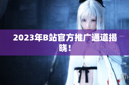 2023年B站官方推广通道揭晓！