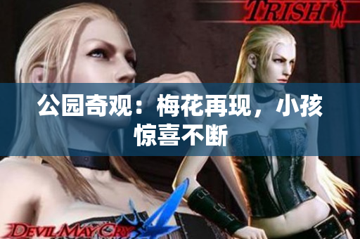 公园奇观：梅花再现，小孩惊喜不断