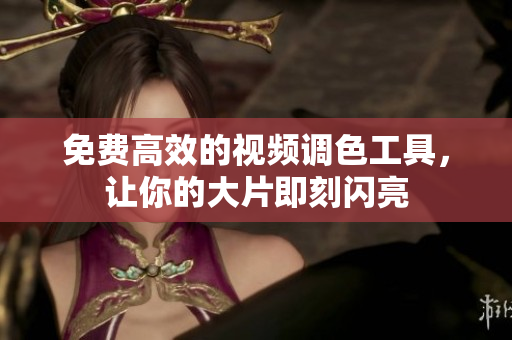 免费高效的视频调色工具，让你的大片即刻闪亮