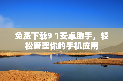免费下载9 1安卓助手，轻松管理你的手机应用