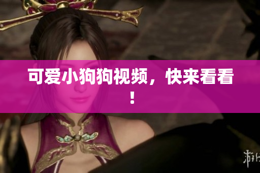 可爱小狗狗视频，快来看看！