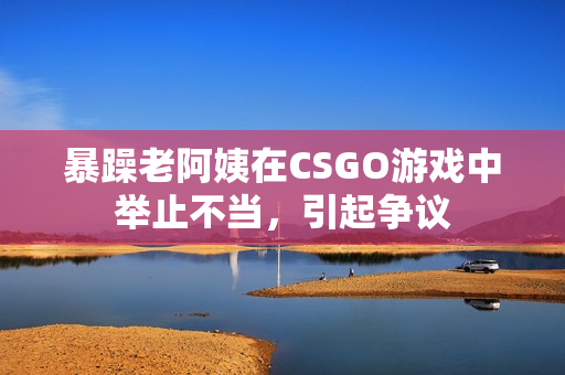暴躁老阿姨在CSGO游戏中举止不当，引起争议