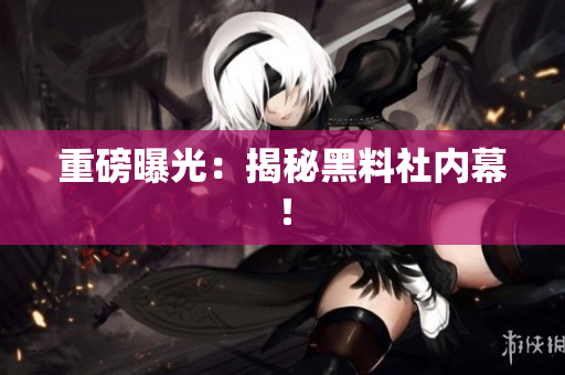 重磅曝光：揭秘黑料社内幕！