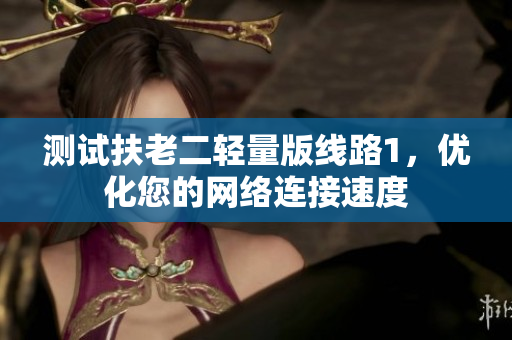 测试扶老二轻量版线路1，优化您的网络连接速度