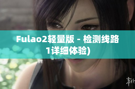 Fulao2轻量版 - 检测线路1详细体验)