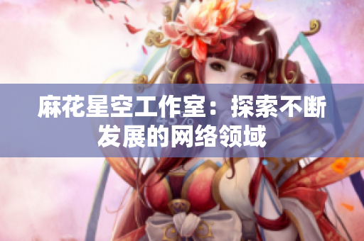 麻花星空工作室：探索不断发展的网络领域