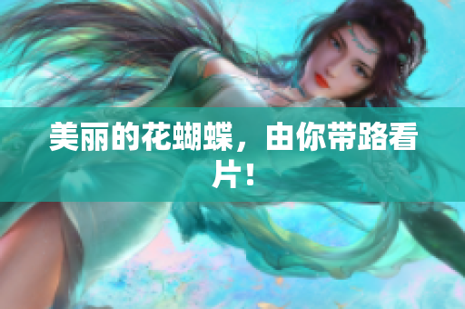美丽的花蝴蝶，由你带路看片！