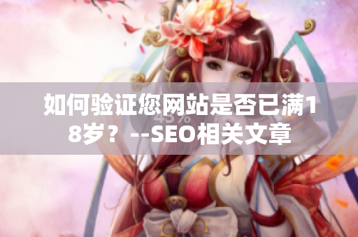 如何验证您网站是否已满18岁？--SEO相关文章