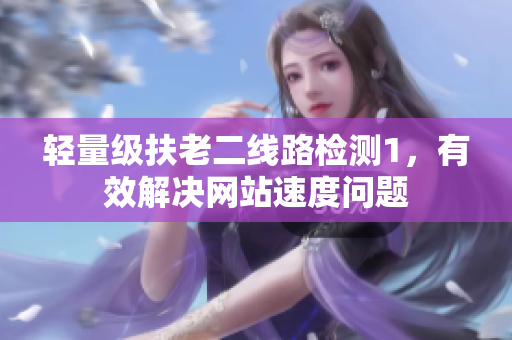 轻量级扶老二线路检测1，有效解决网站速度问题