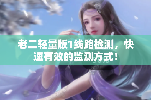 老二轻量版1线路检测，快速有效的监测方式！