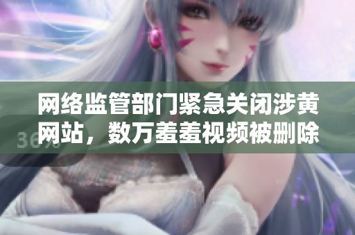 网络监管部门紧急关闭涉黄网站，数万羞羞视频被删除