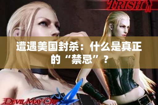 遭遇美国封杀：什么是真正的“禁忌”？