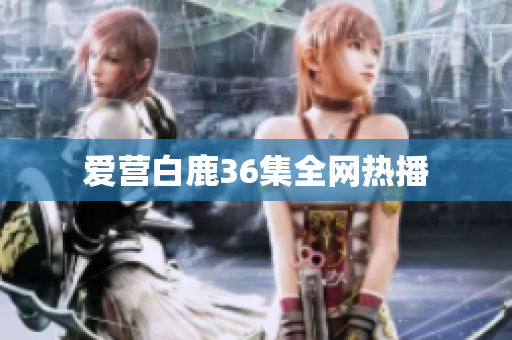 爱营白鹿36集全网热播