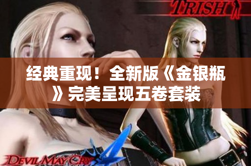 经典重现！全新版《金银瓶》完美呈现五卷套装