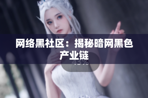 网络黑社区：揭秘暗网黑色产业链