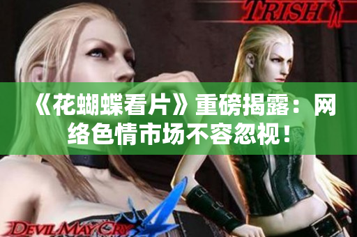 《花蝴蝶看片》重磅揭露：网络色情市场不容忽视！