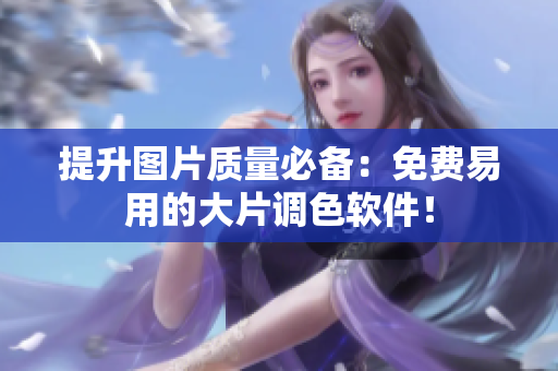 提升图片质量必备：免费易用的大片调色软件！
