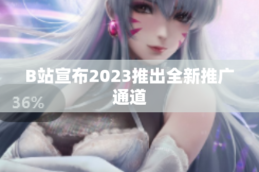 B站宣布2023推出全新推广通道