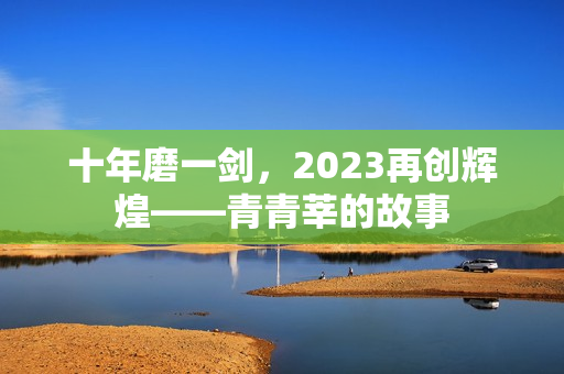 十年磨一剑，2023再创辉煌——青青莘的故事