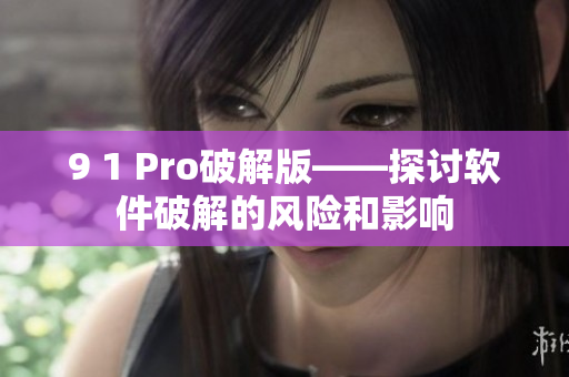 9 1 Pro破解版——探讨软件破解的风险和影响