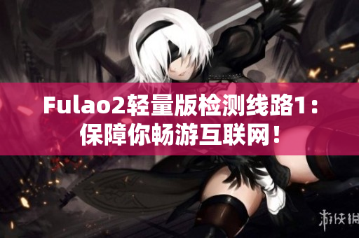 Fulao2轻量版检测线路1：保障你畅游互联网！
