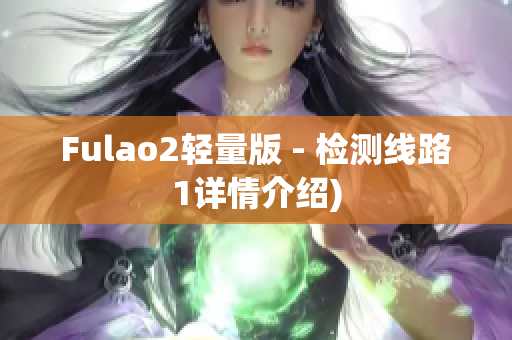 Fulao2轻量版 - 检测线路1详情介绍)