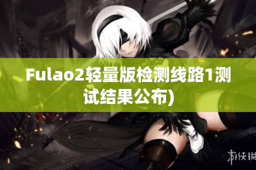 Fulao2轻量版检测线路1测试结果公布)