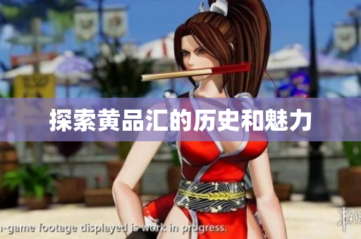 探索黄品汇的历史和魅力