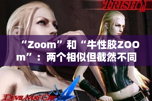 “Zoom”和“牛性胶ZOOm”：两个相似但截然不同的名词