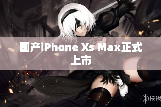 国产iPhone Xs Max正式上市