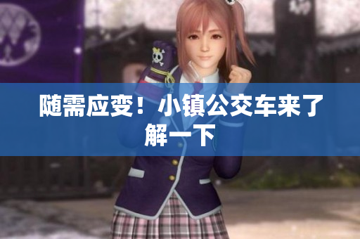 随需应变！小镇公交车来了解一下