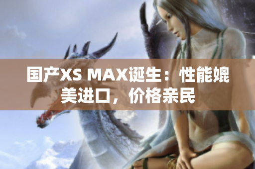 国产XS MAX诞生：性能媲美进口，价格亲民