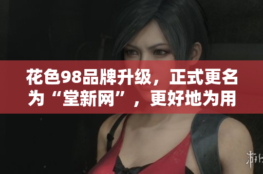 花色98品牌升级，正式更名为“堂新网”，更好地为用户提供优质网络服务。