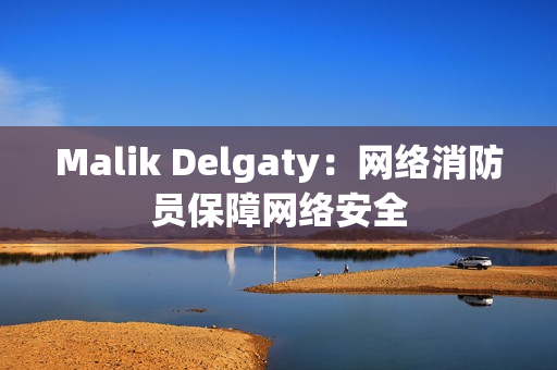 Malik Delgaty：网络消防员保障网络安全