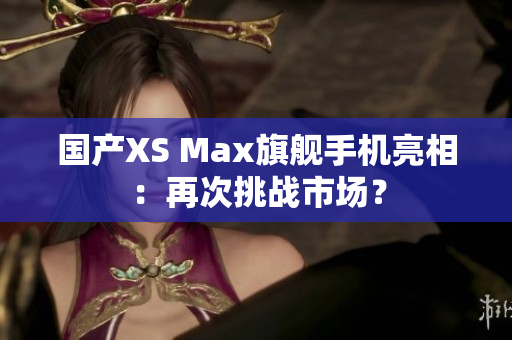 国产XS Max旗舰手机亮相：再次挑战市场？