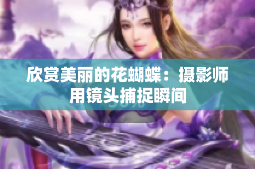 欣赏美丽的花蝴蝶：摄影师用镜头捕捉瞬间