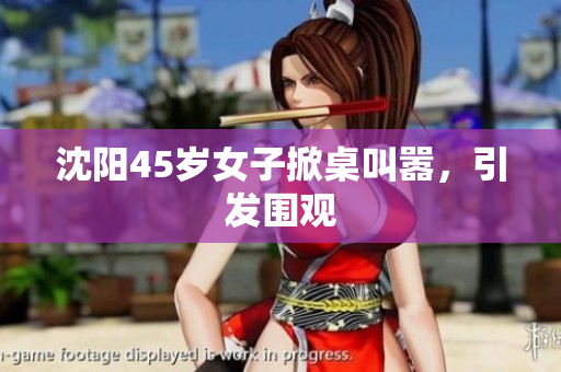 沈阳45岁女子掀桌叫嚣，引发围观